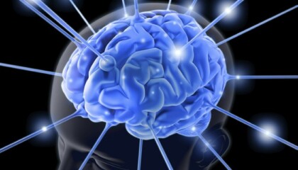 Neuroplasticity
