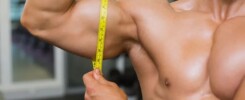 muscle hypertrophy